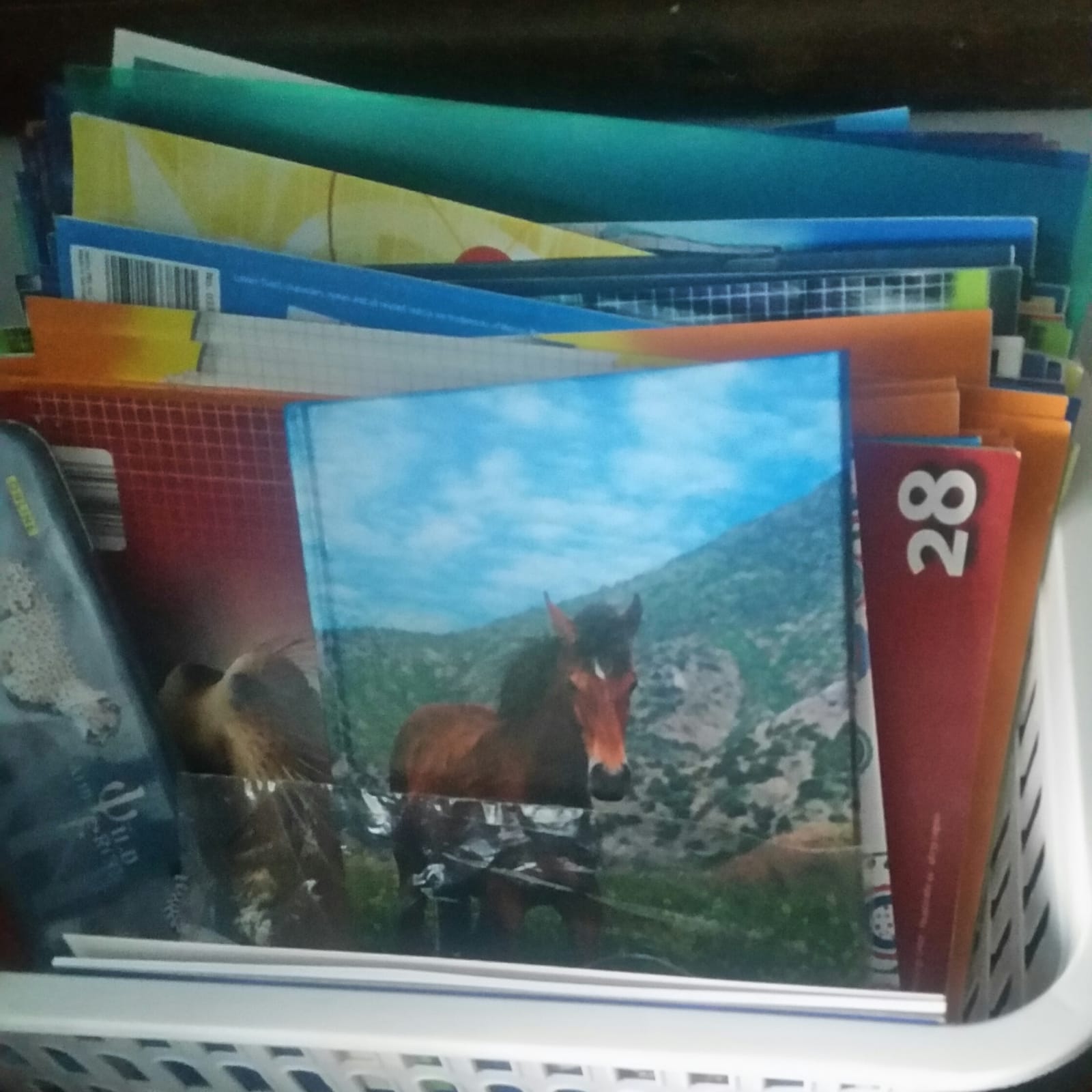 Viel Schulzubehör zu günstigen Preisen