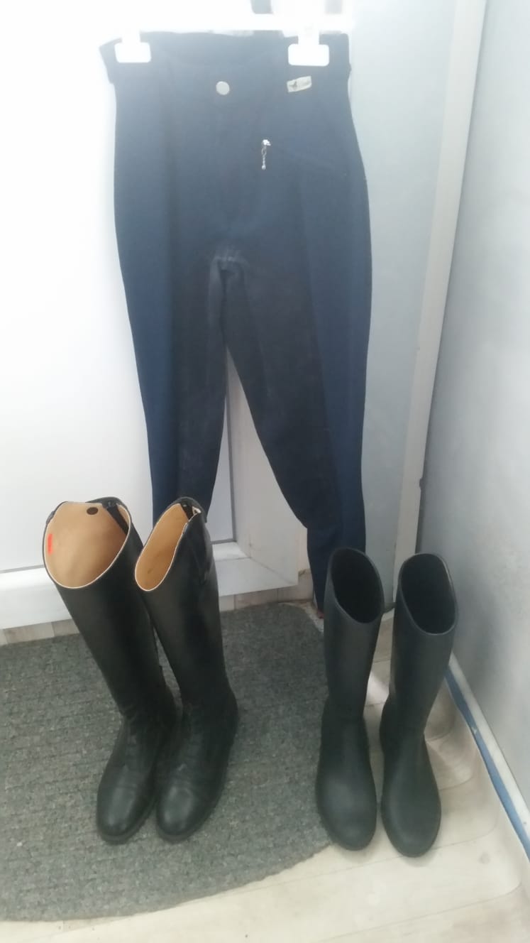 Reithose Gr. 140
Gummireitstiefel Gr. 34 für 15 €
Lederreitstiefel Gr. 36 für 59 €